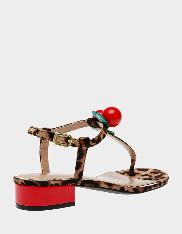 ASBURY LEOPARD - Image 5
