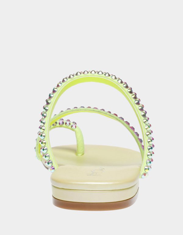 SILAS LIME - Image 5
